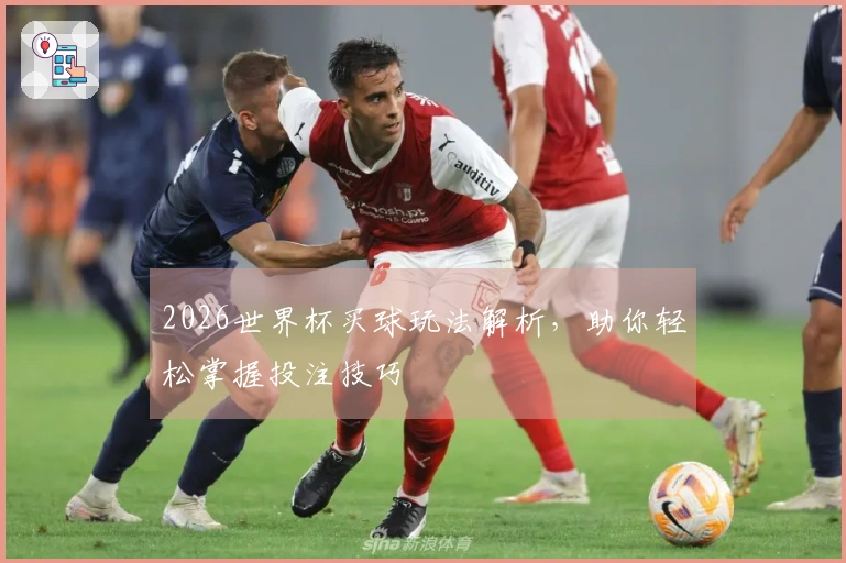 2026世界杯买球玩法解析，助你轻松掌握投注技巧
