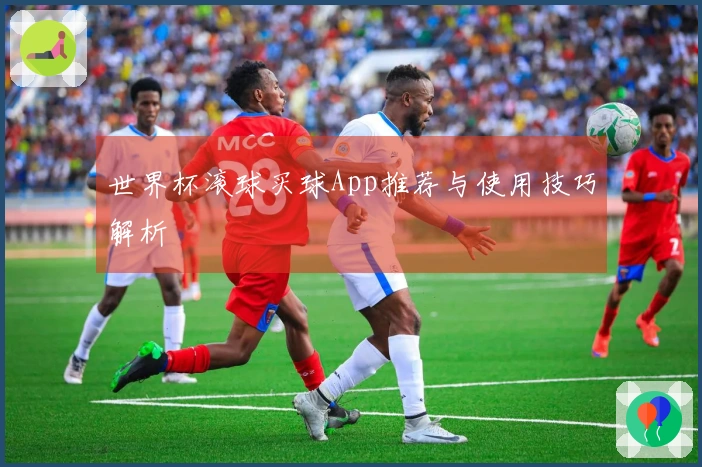 世界杯滚球买球App推荐与使用技巧解析