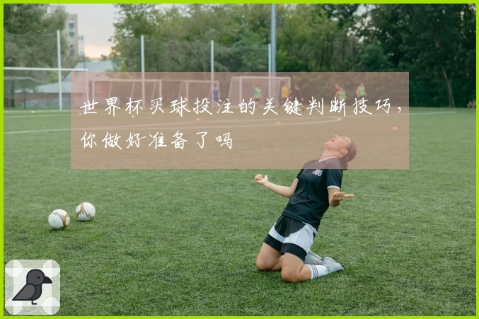 世界杯买球投注的关键判断技巧，你做好准备了吗