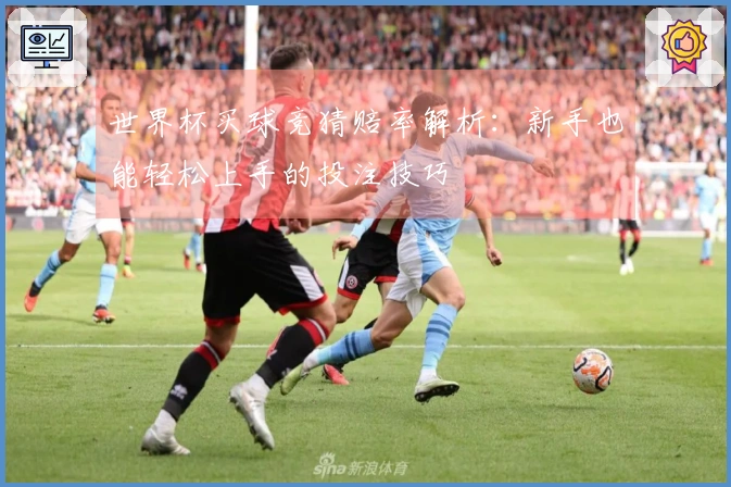 世界杯买球竞猜赔率解析：新手也能轻松上手的投注技巧